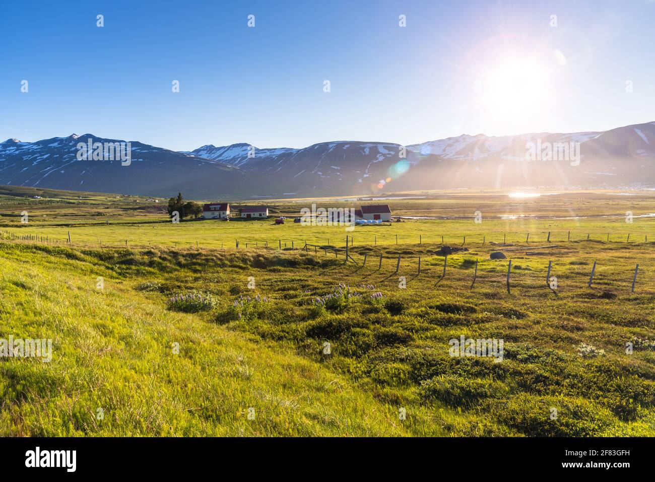 Paisaje rural salpicado de granjas en un campo de césped bajo el sol de medianoche en verano. Majestuosas montañas cubiertas de nieve en el fondo. Destellos de lente. Foto de stock