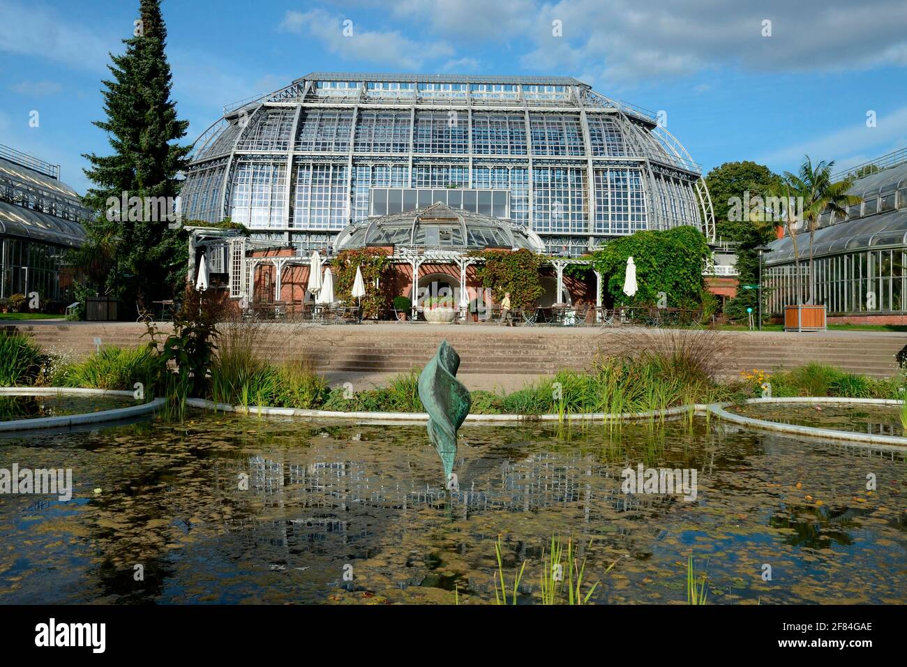 Jardín botánico, invernadero, gran casa tropical, Berlin-Lichterfelde, Berlín, Alemania Foto de stock
