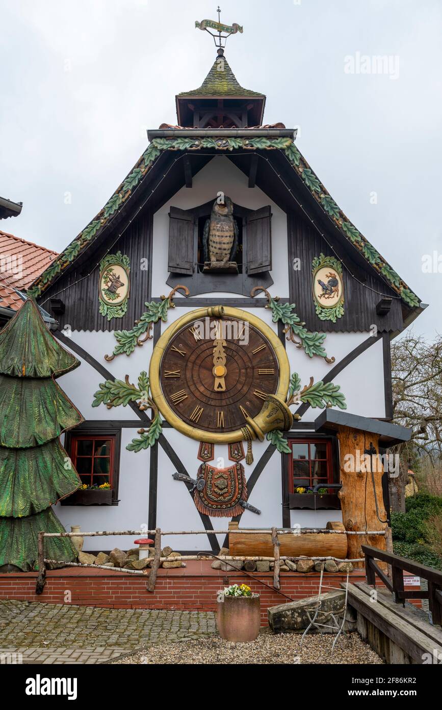 Largest cuckoo clock fotografías e imágenes de alta resolución Alamy