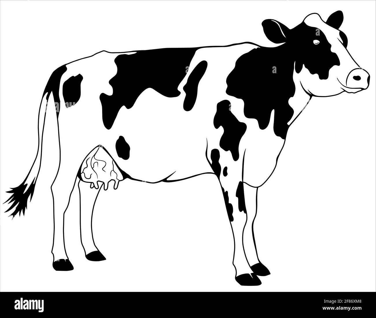 Ilustración vectorial en estilo plano de dibujos animados. Vaca joven
