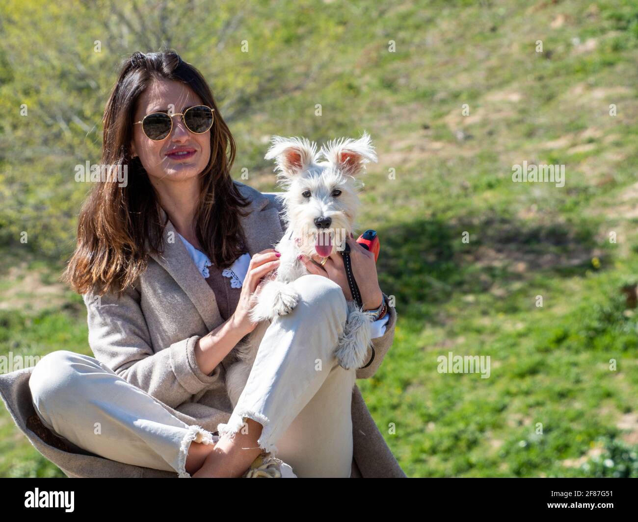 Mujer joven sentada en una roca en un campo, posando para una foto con su cachorro blanco schnauzer. Foto de stock