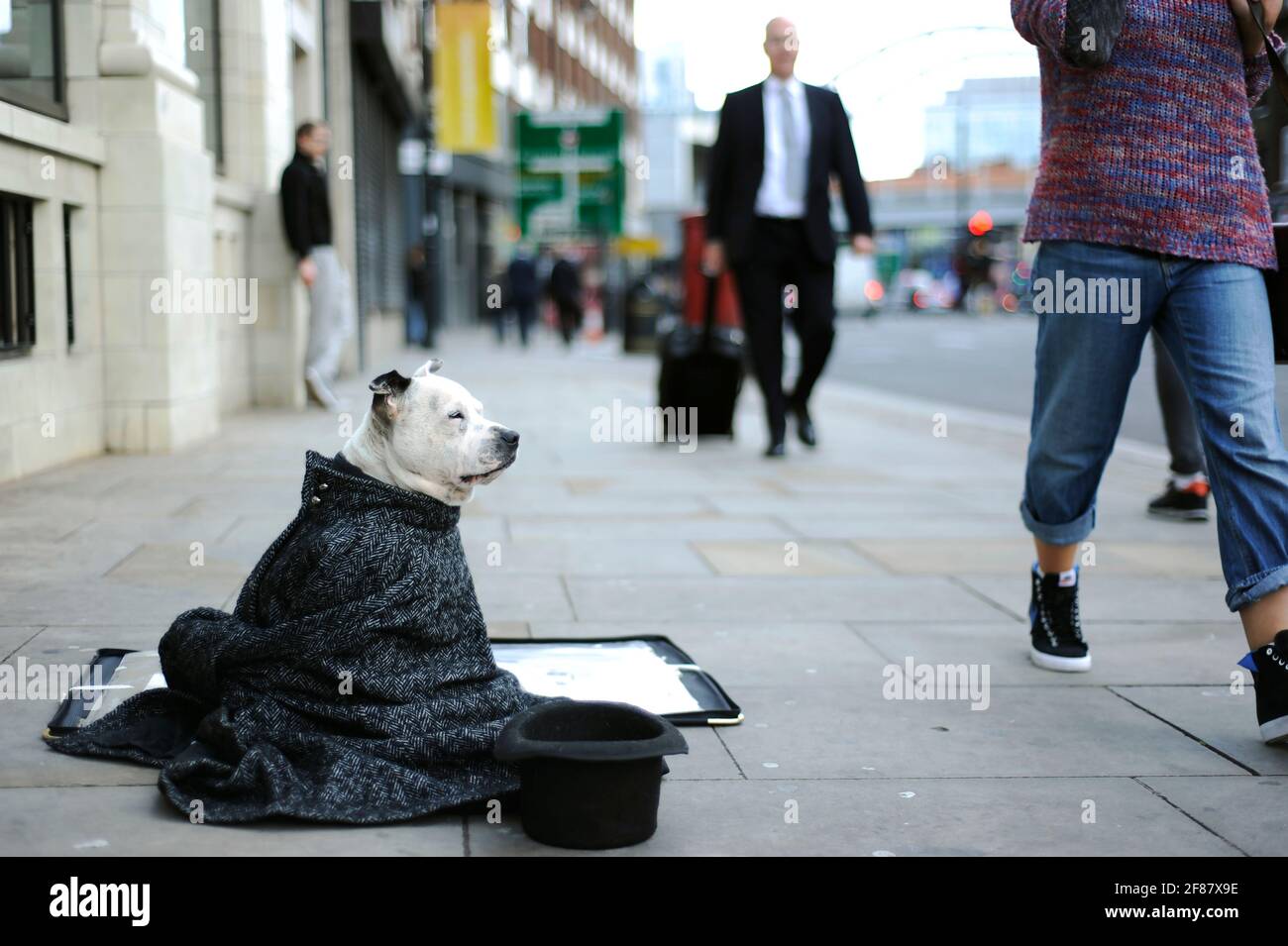 Shoreditch basó artistas de la calle, perro de John Dolan. Shoreditch High Street, East London, Reino Unido. Sep 2012 Foto de stock