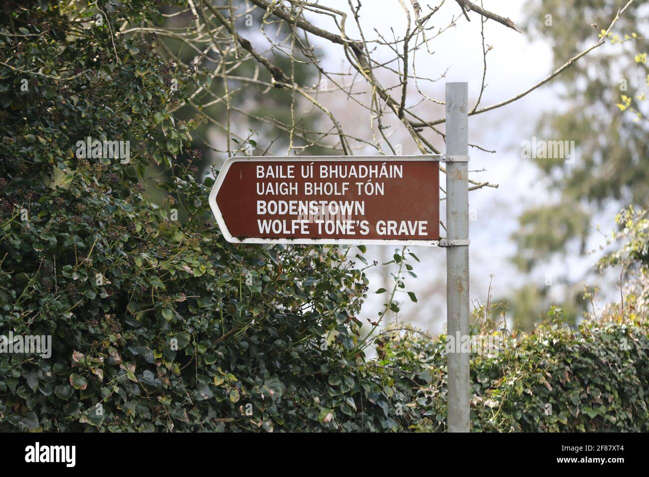 Un cartel que señala la dirección de la tumba del tono de Wolfe en el cementerio de Bodenstown en Sallins, Co Kildare, cerca de donde Gardai está investigando el descubrimiento de restos esqueléticos sospechosos que fueron encontrados el sábado. Fecha de la foto: Lunes 12 de abril de 2021. Foto de stock
