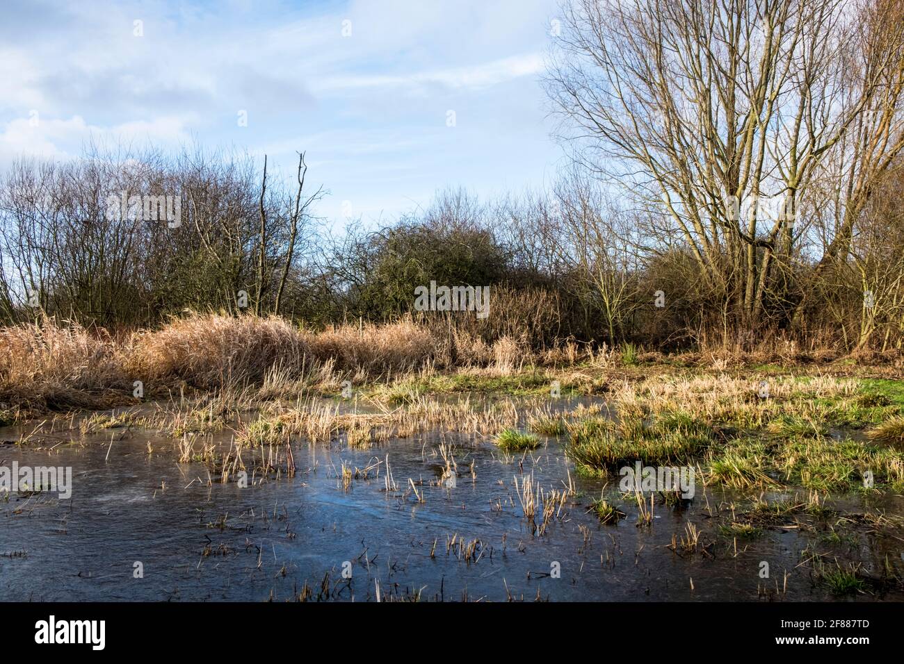 Campo inundado en invierno, West Bridgford, Nottinghamshire, Inglaterra, Reino Unido Foto de stock