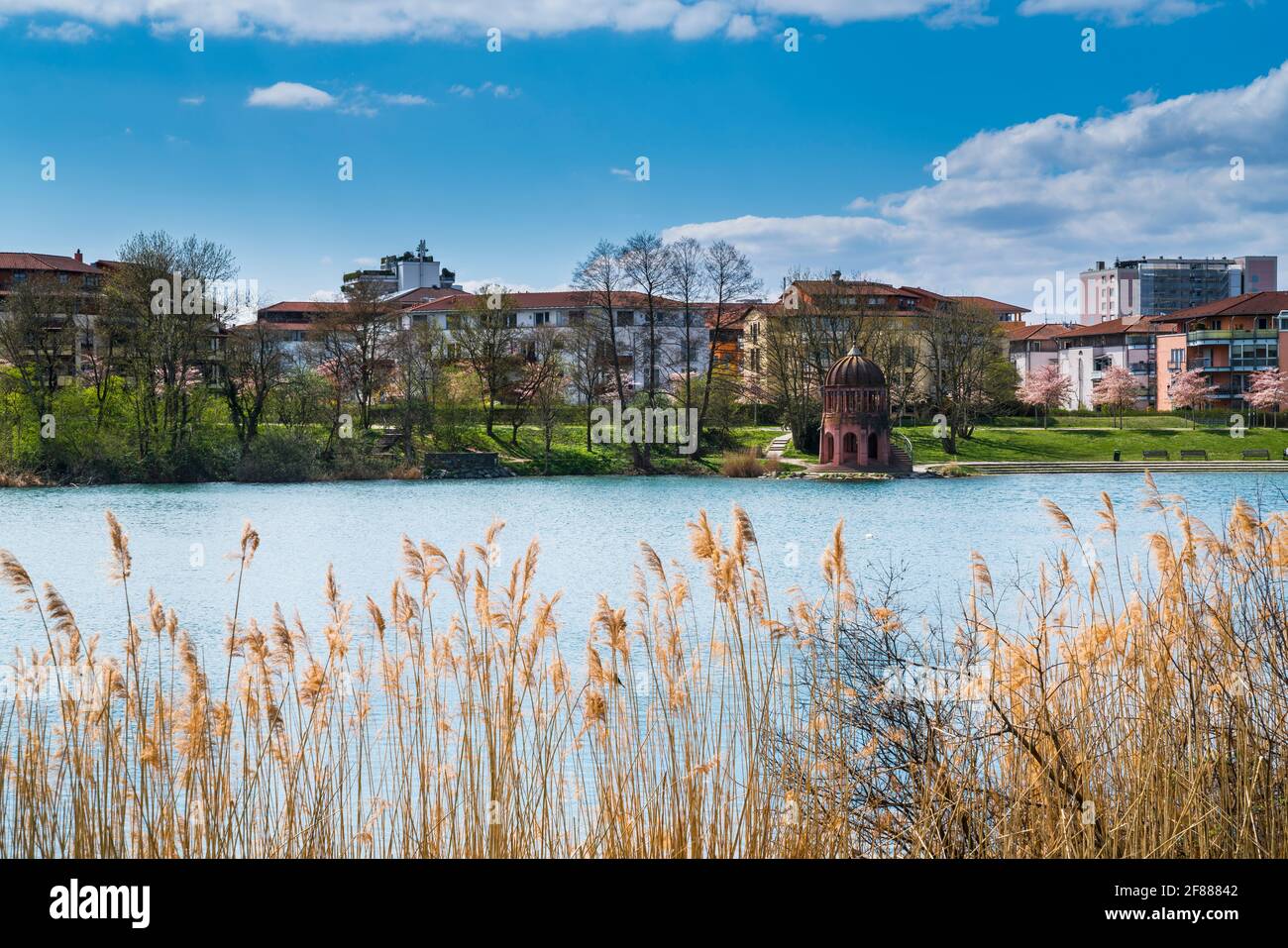 Alemania, Freiburg im Breisgau parque de la ciudad seepark agua del lago en el distrito urbano hermoso de casas nobles detrás de la caña en el día soleado del verano Foto de stock