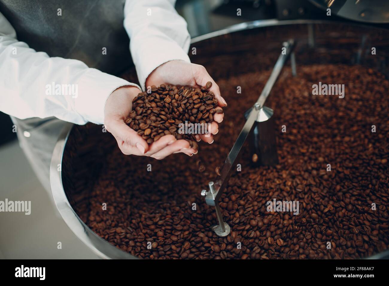 Maquina de tostado de cafe hot sale