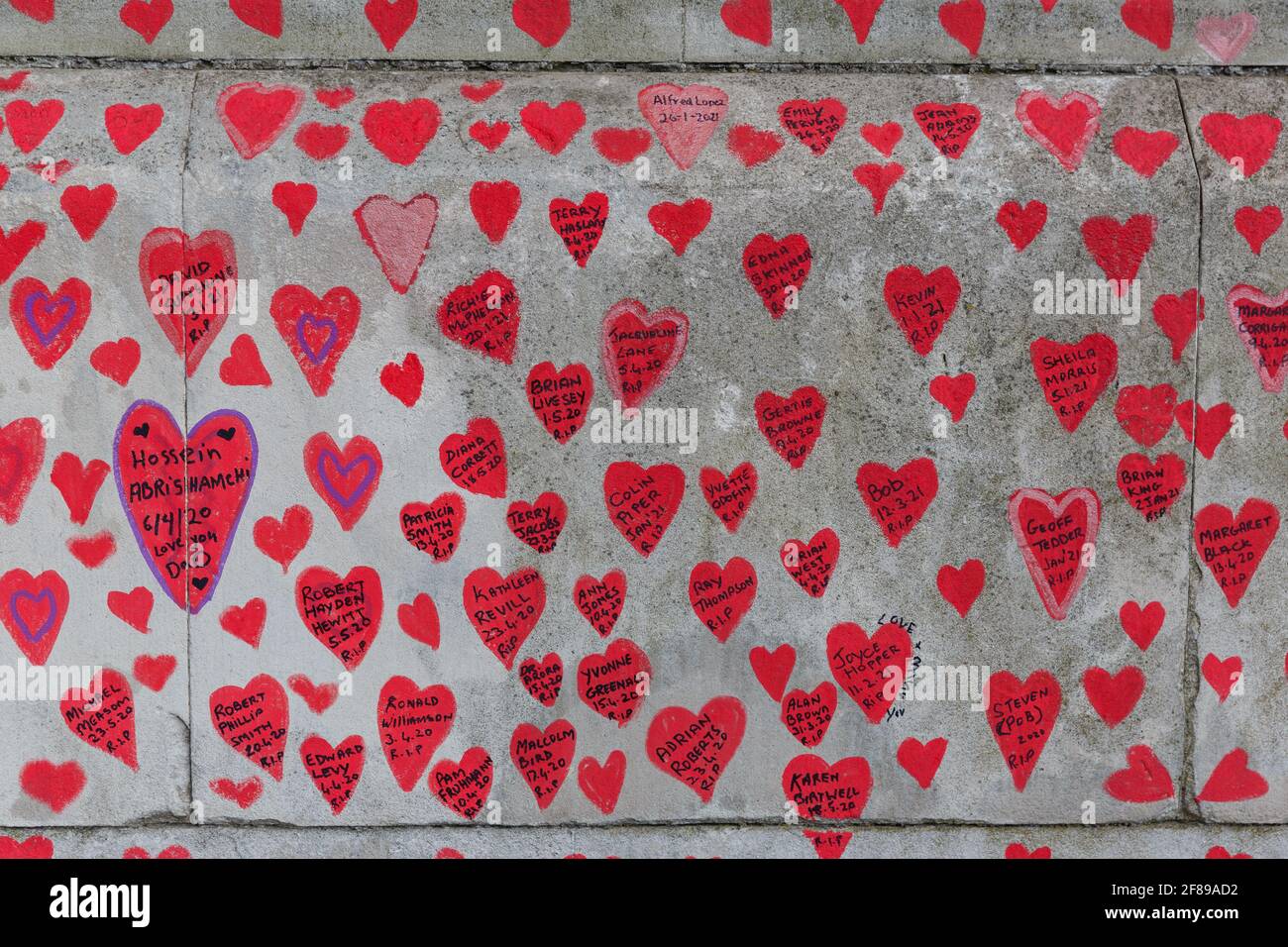 Corazones rojos pintados en el National Covid Memorial Wall AS Un homenaje a las víctimas británicas de la pandemia del Coronavirus Foto de stock