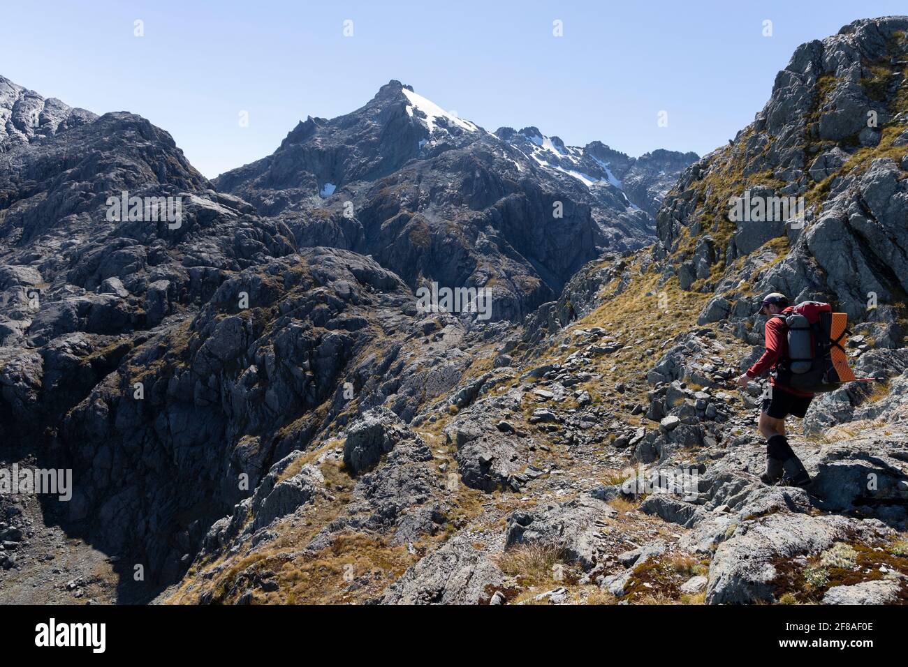 Excursionista en los Alpes del Sur, Nueva Zelanda Foto de stock