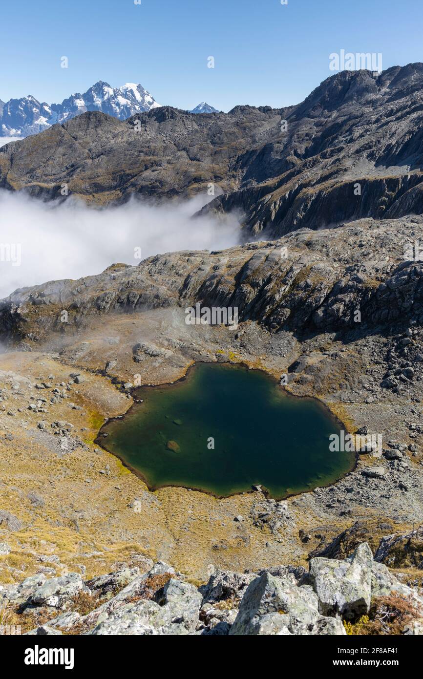 alpine tarn, Nueva Zelanda Foto de stock