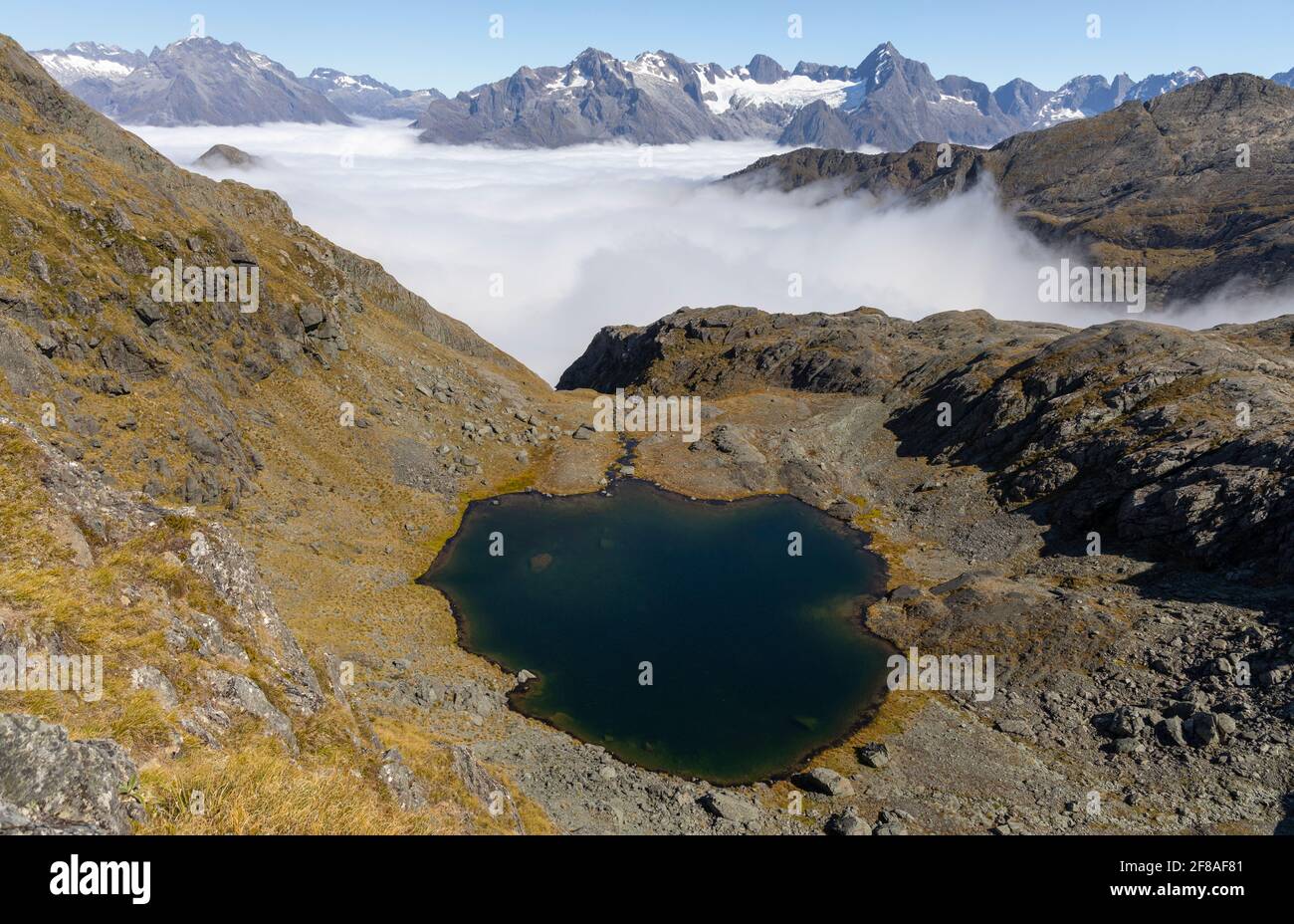 alpine tarn, Nueva Zelanda Foto de stock