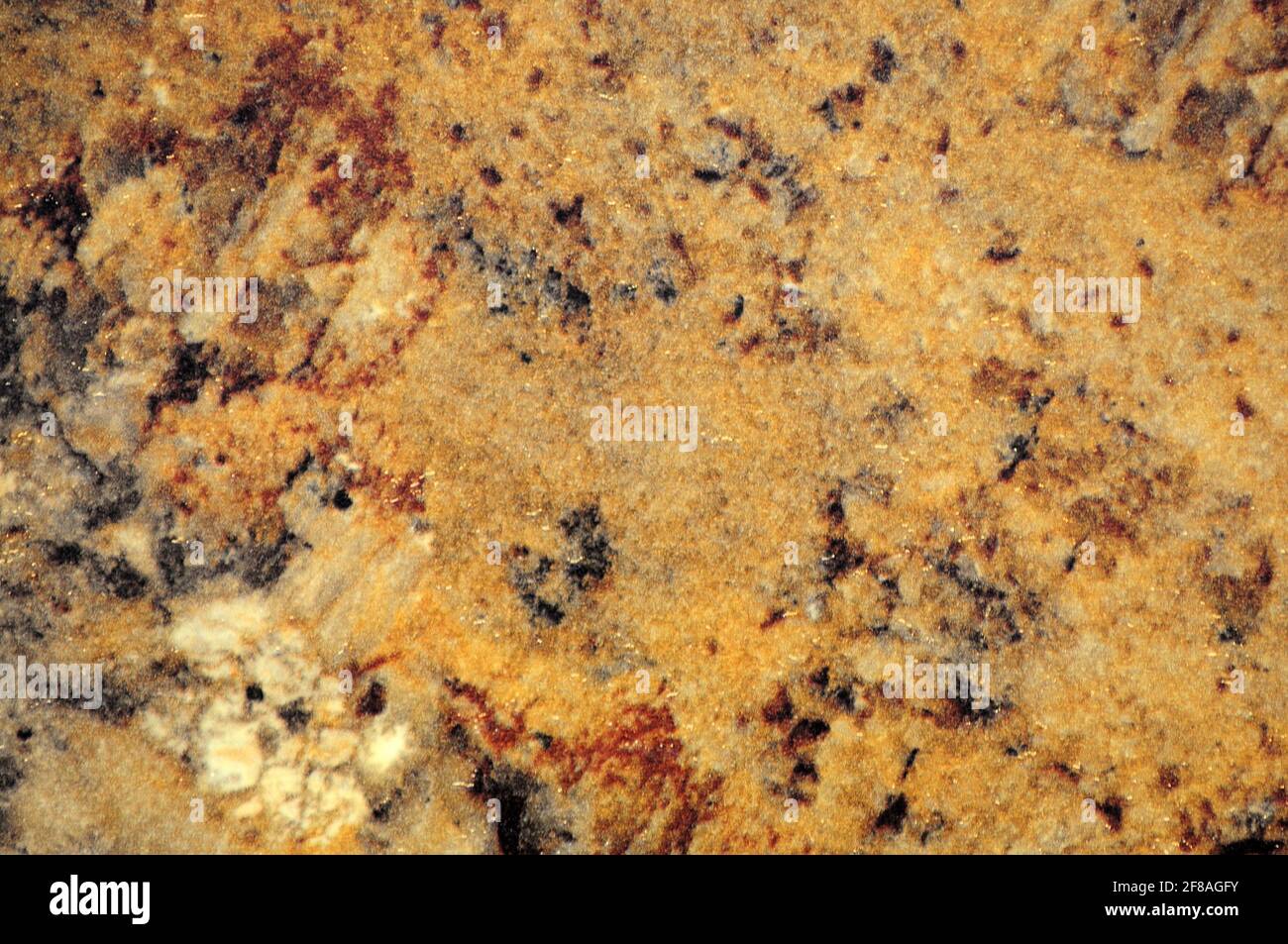 Auricular marrón claro, una superficie plana de piedra natural con manchas oscuras y claras en primer plano. Fondo, patrón, textura. Foto de stock