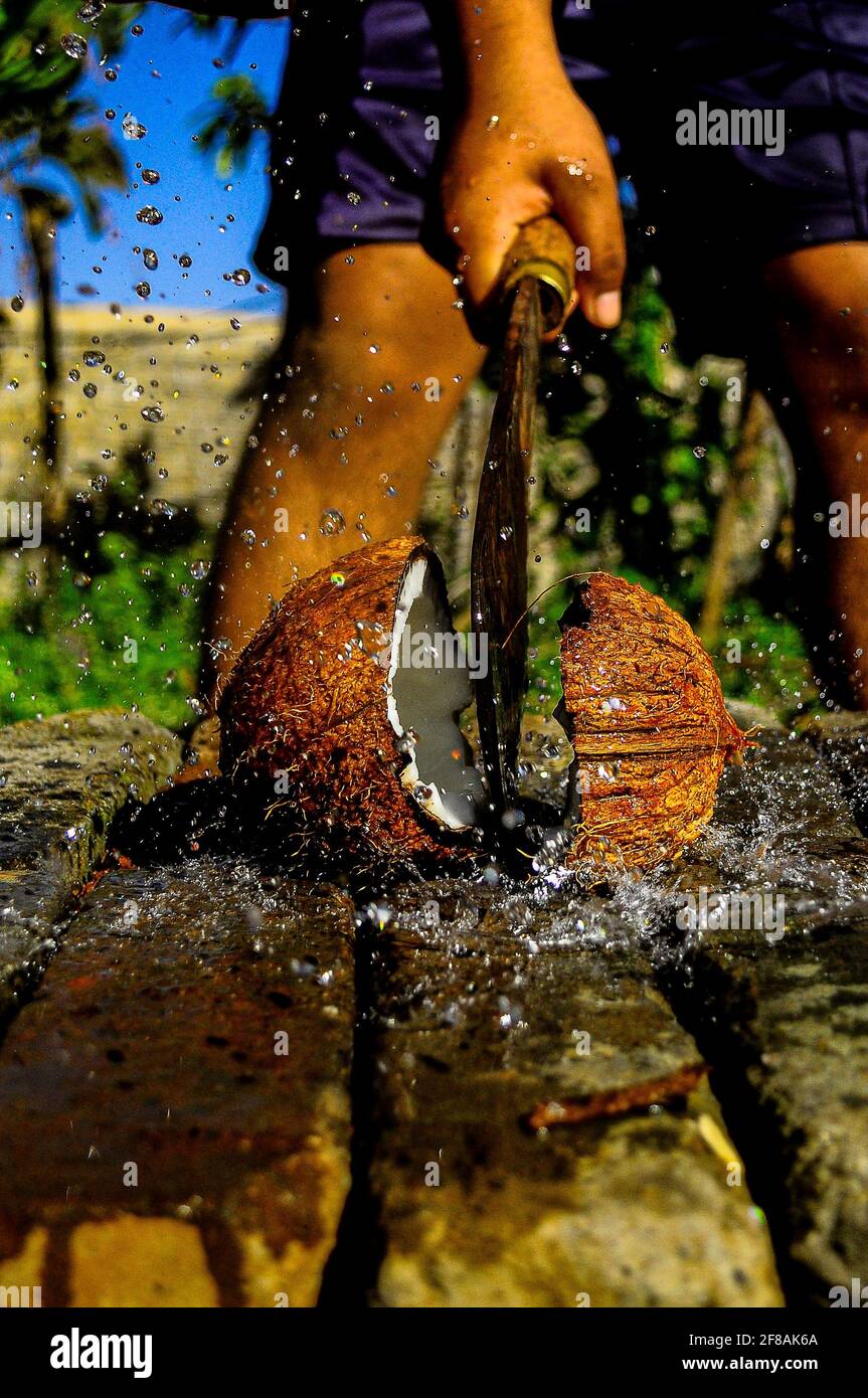 Romper el coco en verano y el agua salpicando por todas partes Foto de stock