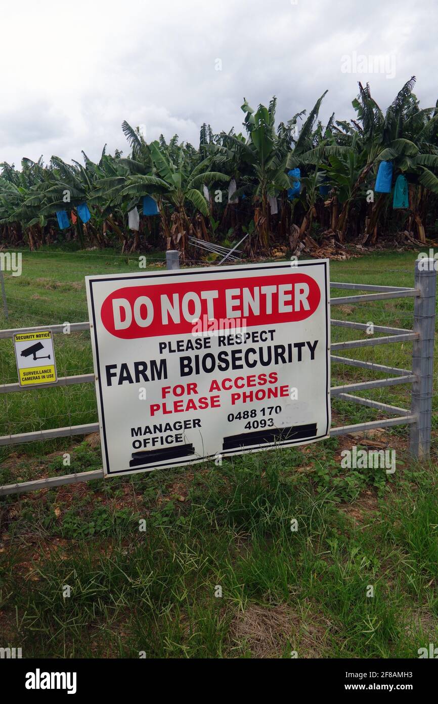 Signo de bioseguridad/cuarentena en la granja bananera, Atherton Tableland, cerca de Cairns, Queensland, Australia. Sin PR Foto de stock