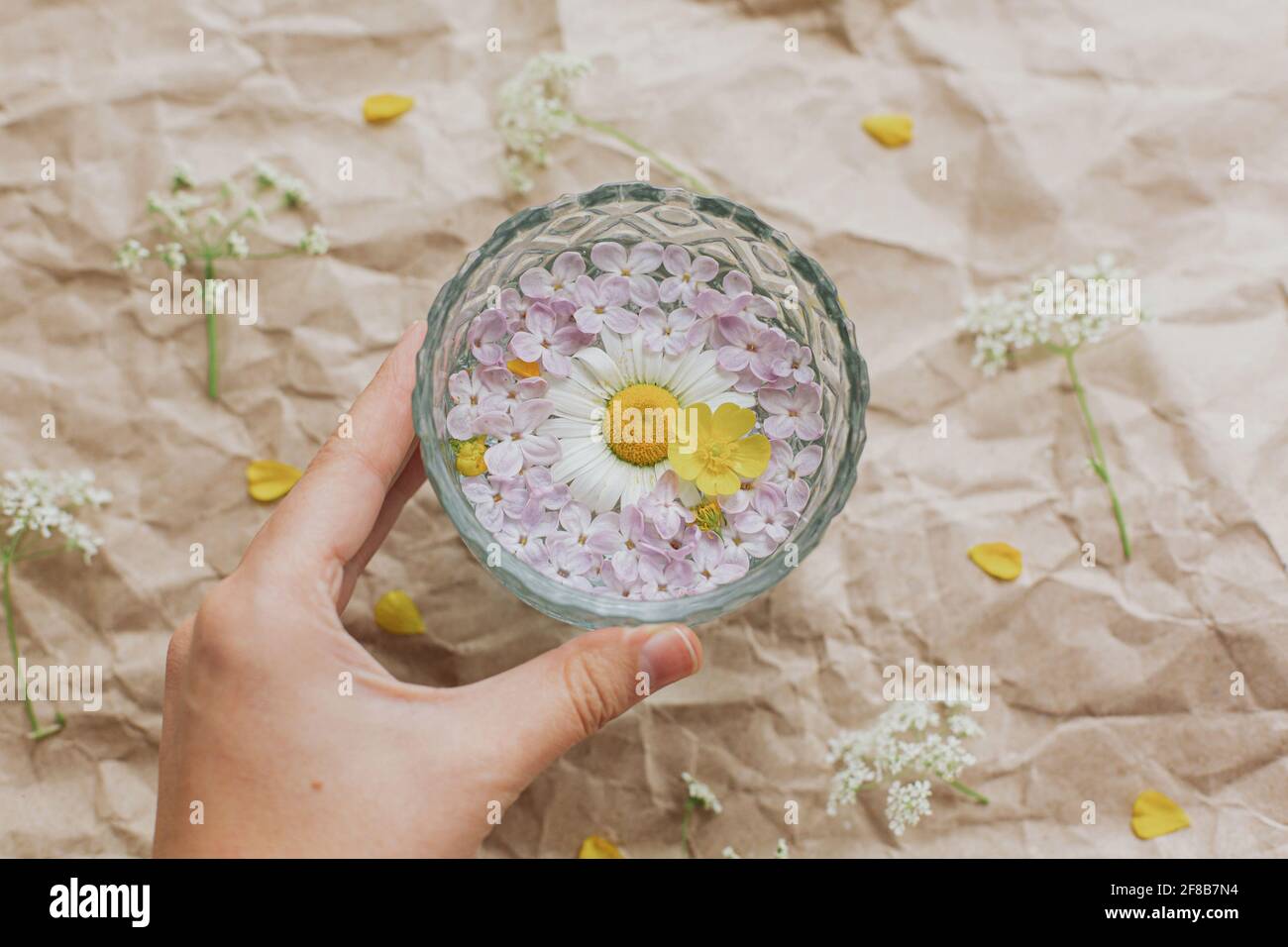Aja Especializarse Lluvioso Vaso de cristal de la mano con flor de margarita y pétalos de lila en el  agua sobre el fondo de papel marrón viejo con flores silvestres, vista  superior. Flores de verano