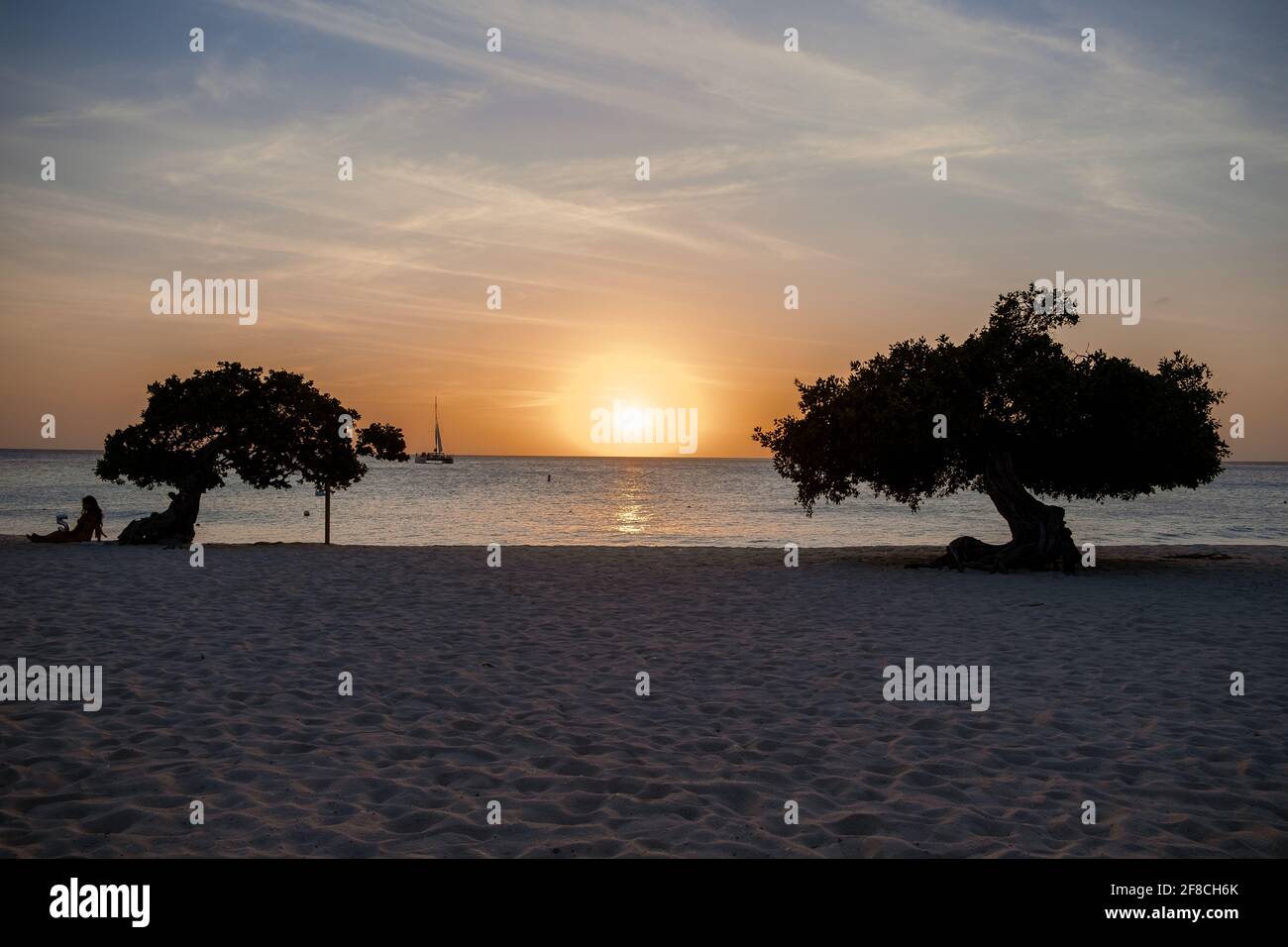 Puesta de sol en Eagle Beach Aruba, Divi Dive árboles en la costa de Eagle Beach en Aruba. Foto de stock