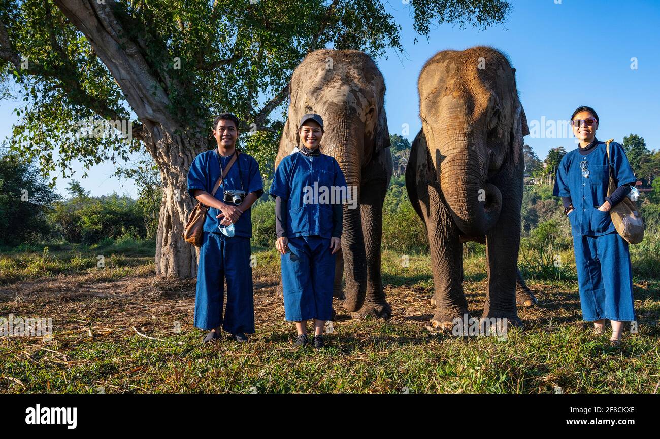 amigos con elefantes en el santuario de animales en el triángulo dorado Foto de stock
