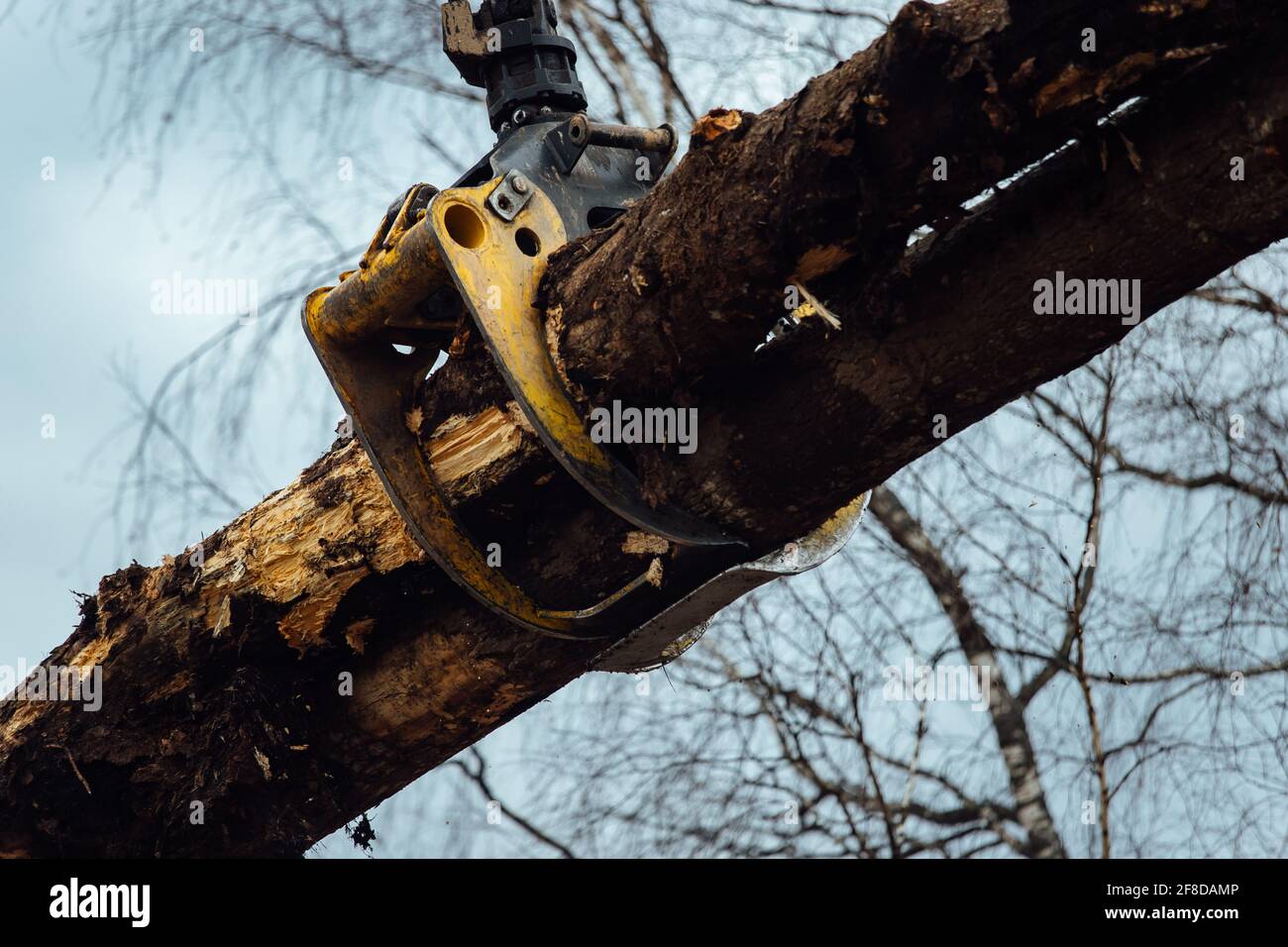 Cortador de leña fotografías e imágenes de alta resolución - Página 2 -  Alamy