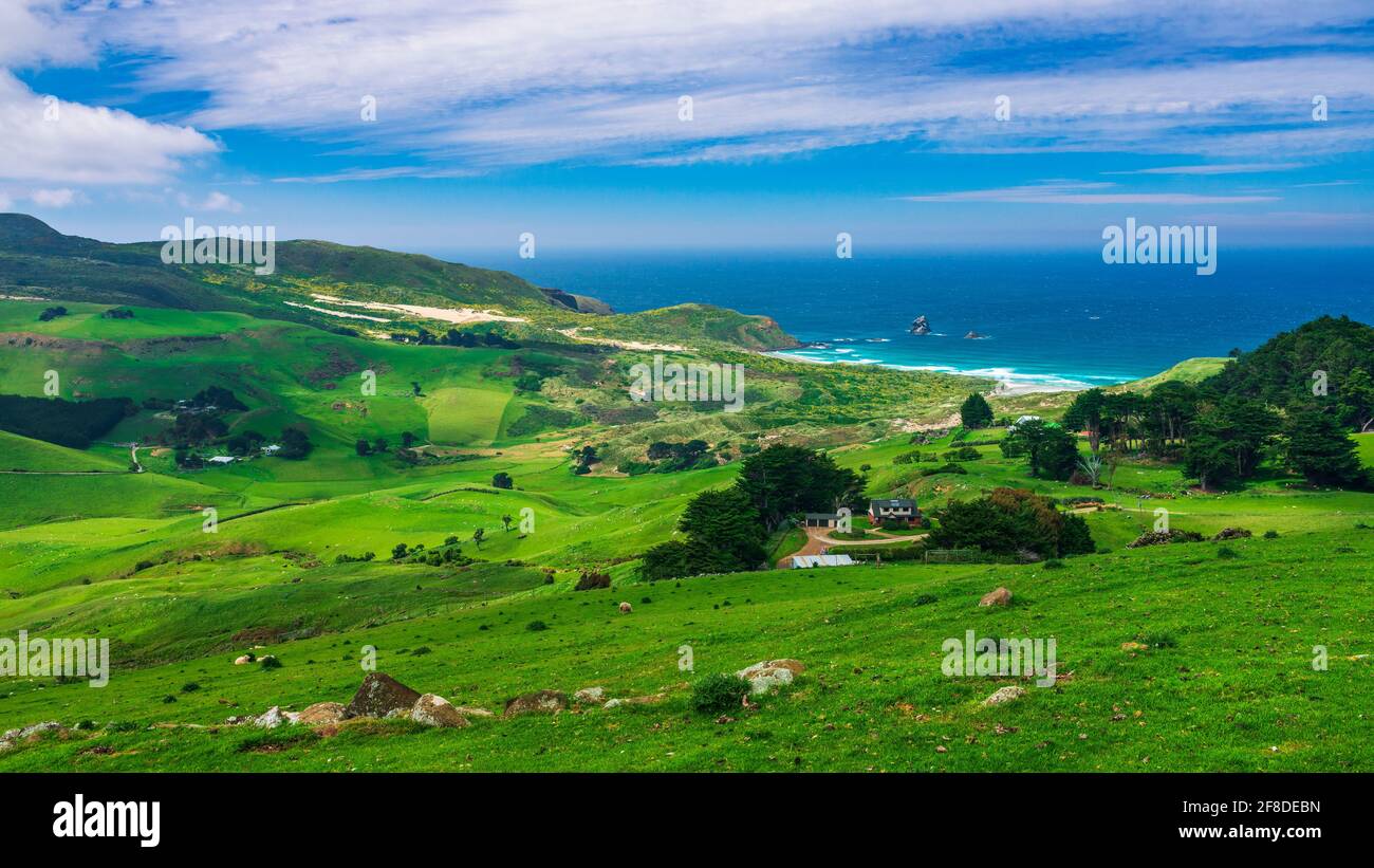 Tierras de cultivo rodantes en la Península de Otago, Dunedin, Otago, Isla del Sur, Nueva Zelanda Foto de stock