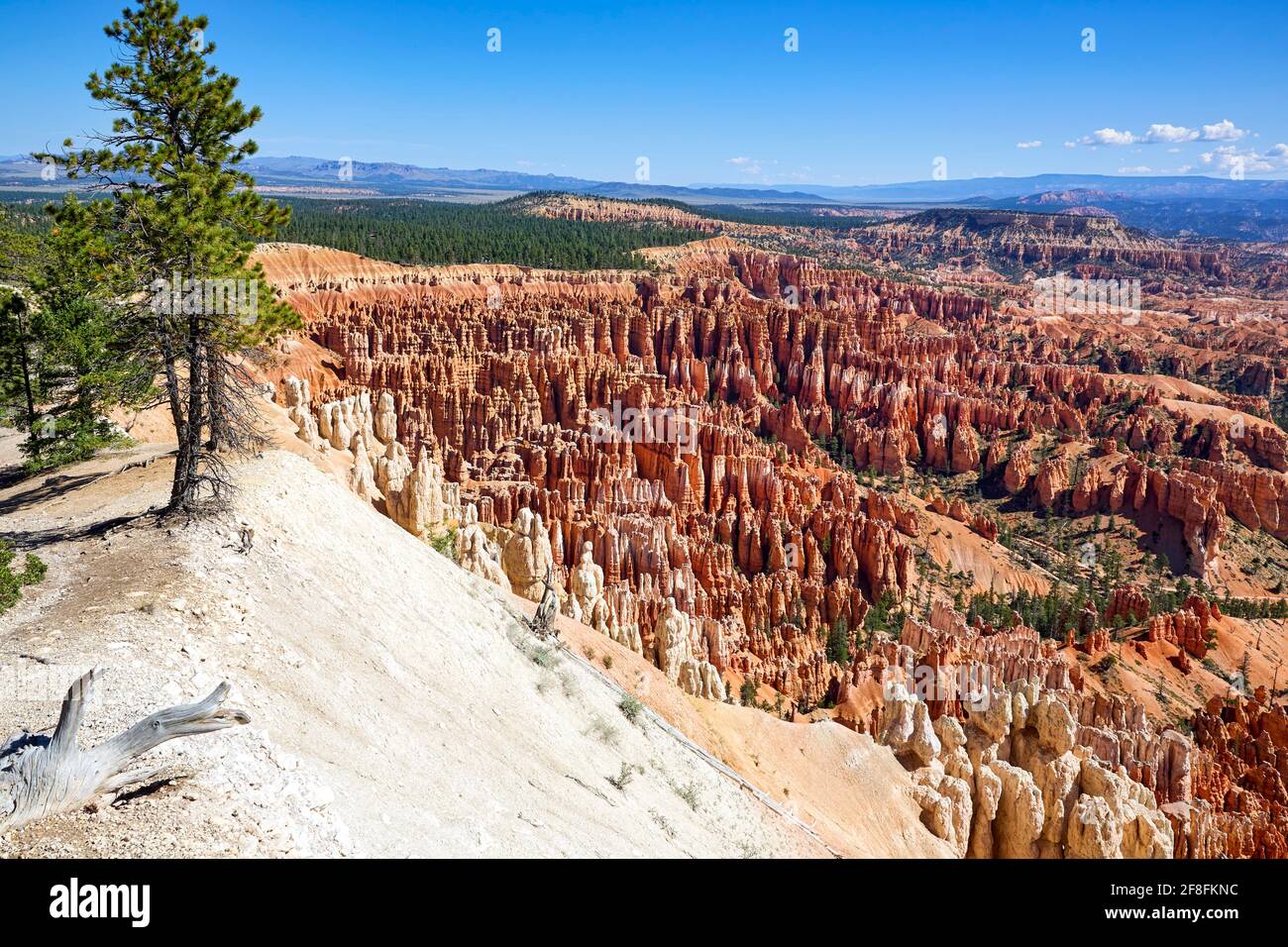 Punto de inspiración Mirador en el Parque Nacional del Cañón Bryce. Utah, EE.UU Foto de stock