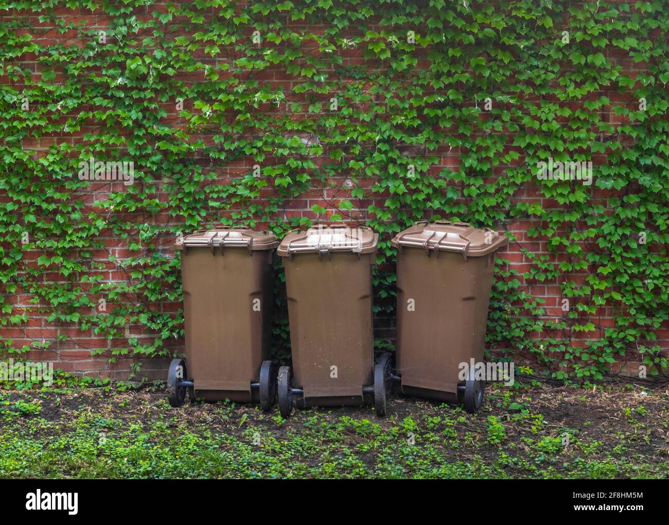 tres cubos de basura marrones en verano en el medio de muchas hojas en una pared Foto de stock
