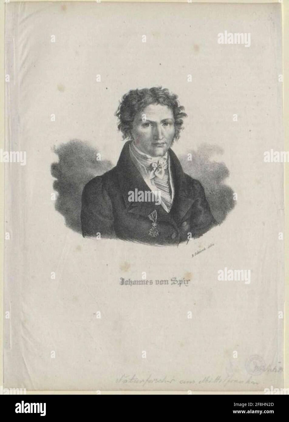 Spix, Johann von. Foto de stock
