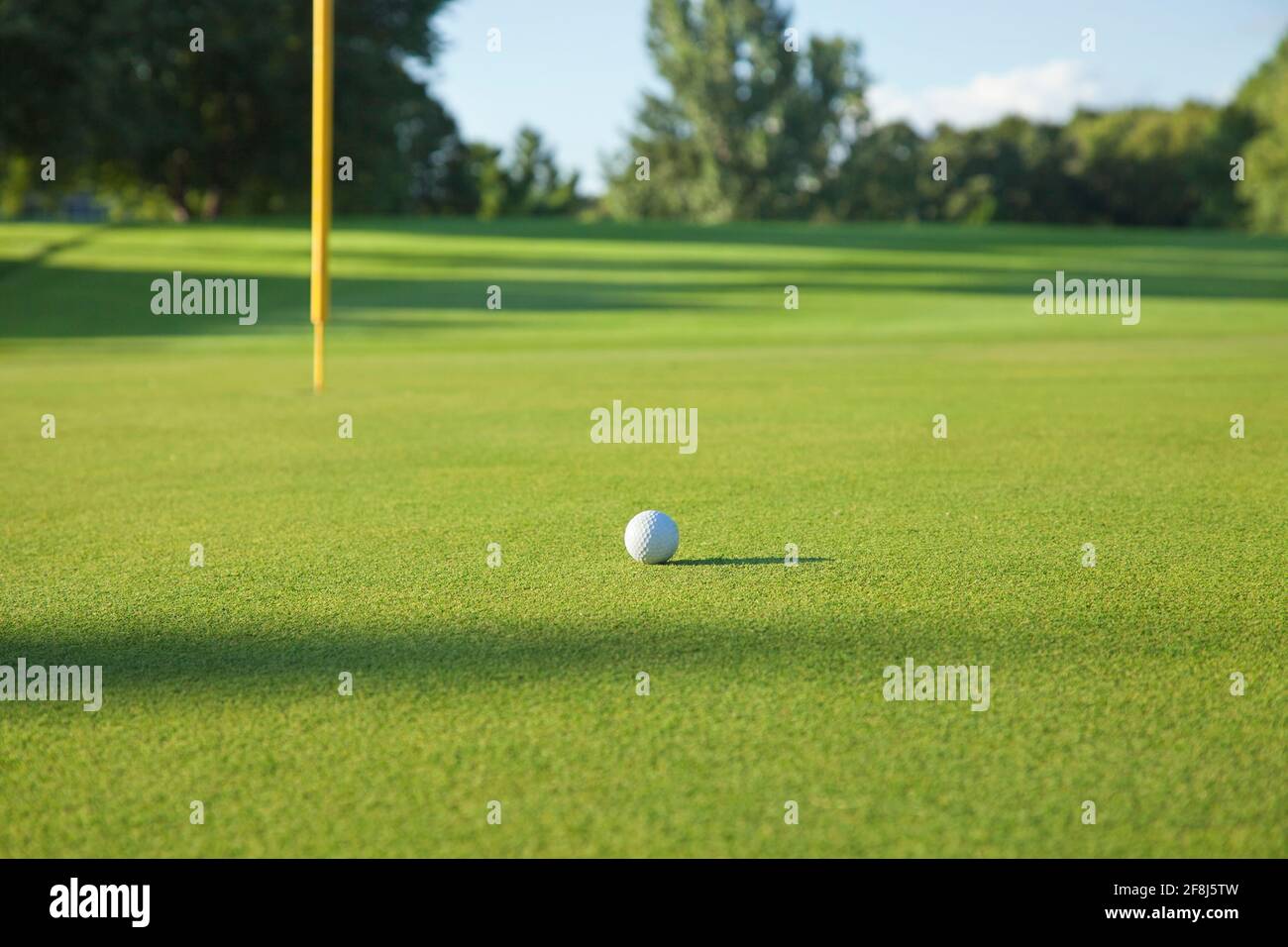 Enfoque selectivo de la vista de ángulo bajo de una pelota de golf en un verde con el bastón en una tarde soleada Foto de stock