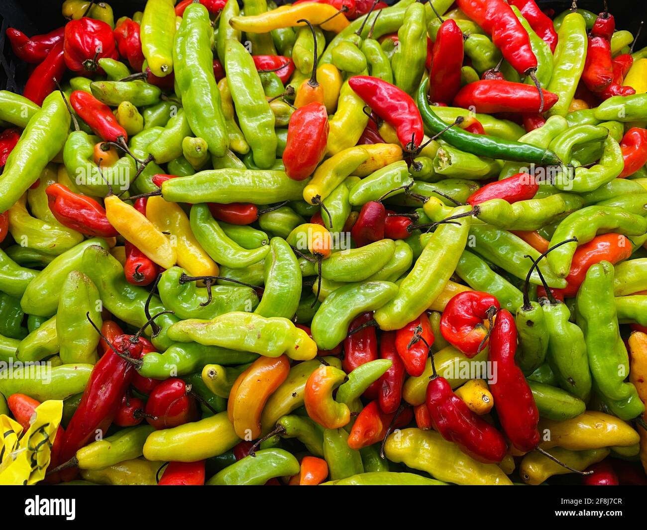 Mezcla colorida de chiles rojos y verdes utilizados en preparar comida picante caliente Foto de stock