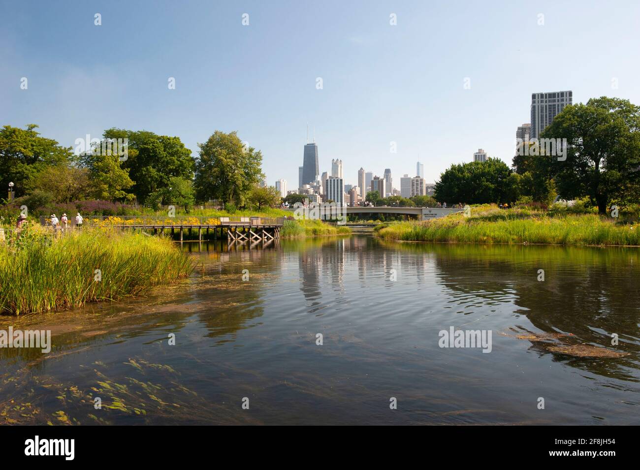 Una vista parcial del horizonte de Chicago vista desde los jardines de Lincoln Park. Foto de stock