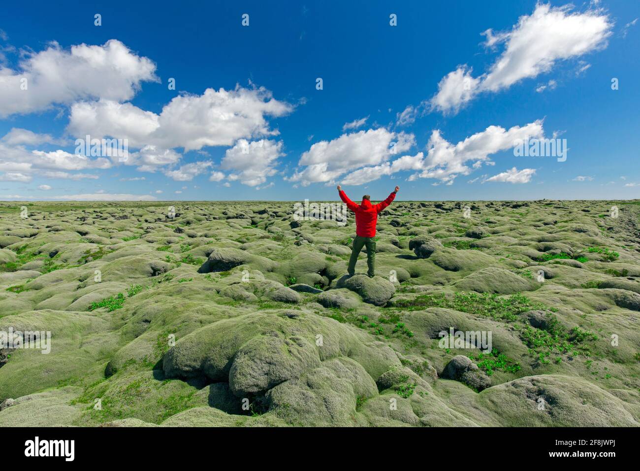 Moss cubrió el campo de lava de Eldhraun, el mayor flujo de lava en el mundo desde la erupción de Laki a finales de 1700s, Sudurland, Islandia del Sur Foto de stock