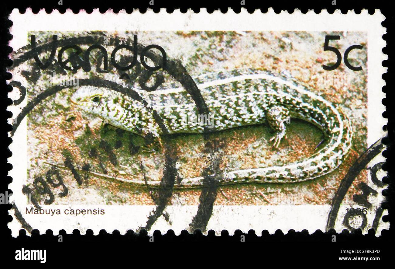 MOSCÚ, RUSIA - 7 DE OCTUBRE de 2019: Sello postal impreso en Sudáfrica, tierras del hogar, muestra Cape Skink (Mabuya capensis), Venda serie, alrededor de 1986 Foto de stock