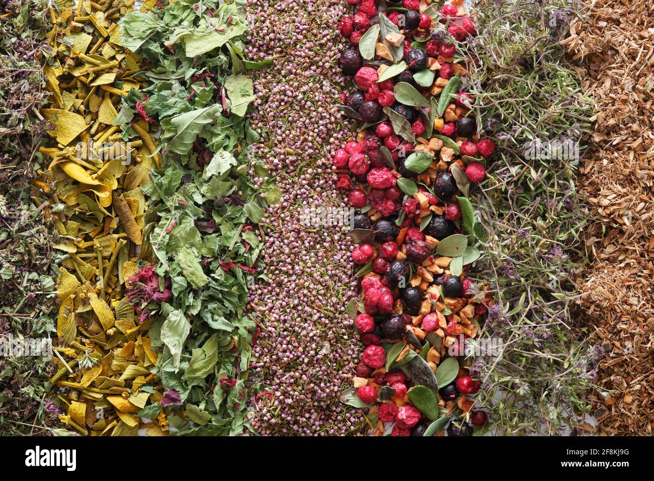 Hileras de hierbas medicinales secas, frutas y bayas saludables - mejorana silvestre, muérdago, brezo, arándanos y grosellas negras, manzanas secas, tomillo, roble Foto de stock