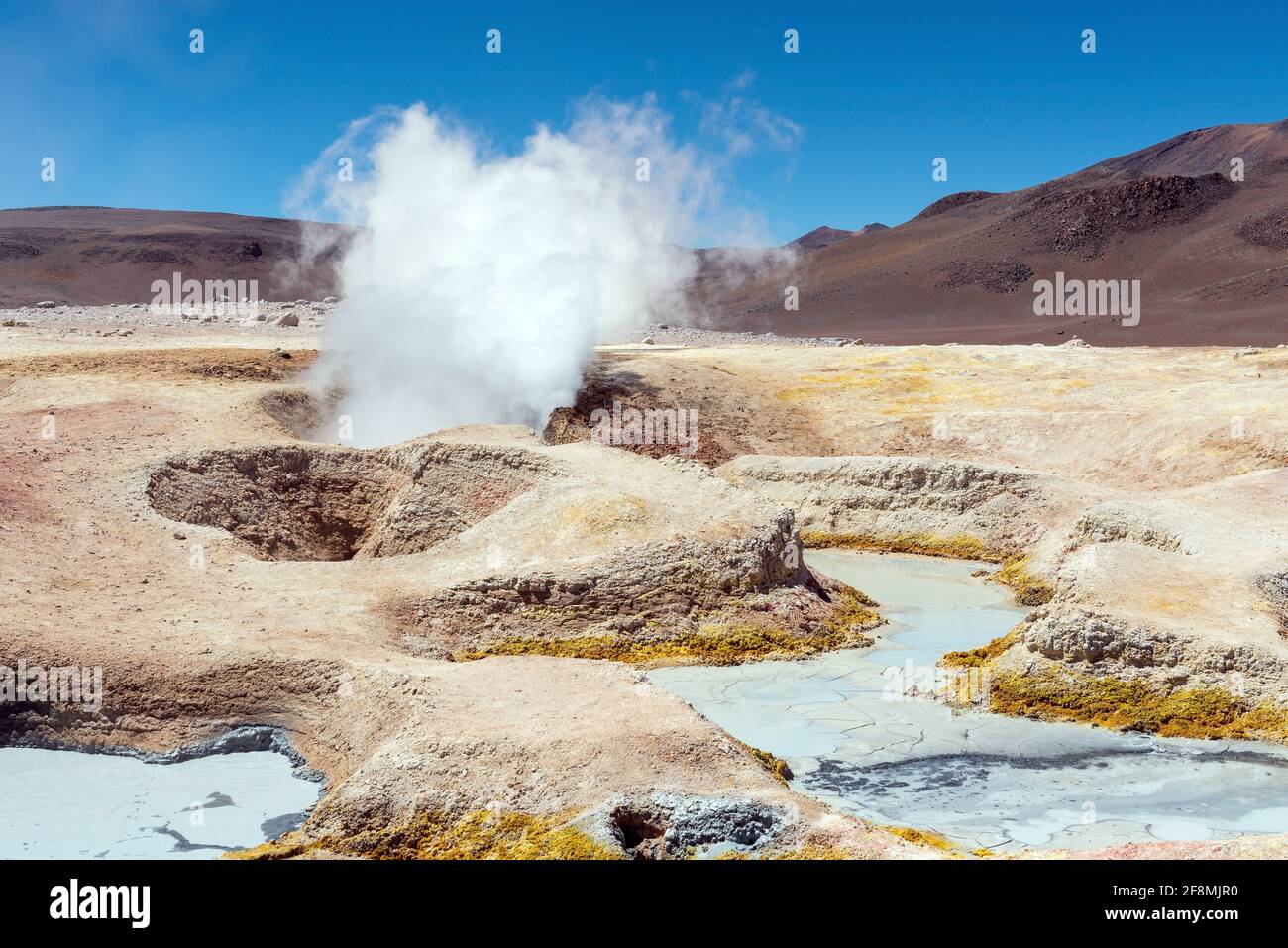 Actividad volcánica con fumarolas, géiseres y pozos de barro, Sol de Manana, Reserva Nacional Eduardo Avaroa, Uyuni, Bolivia. Foto de stock