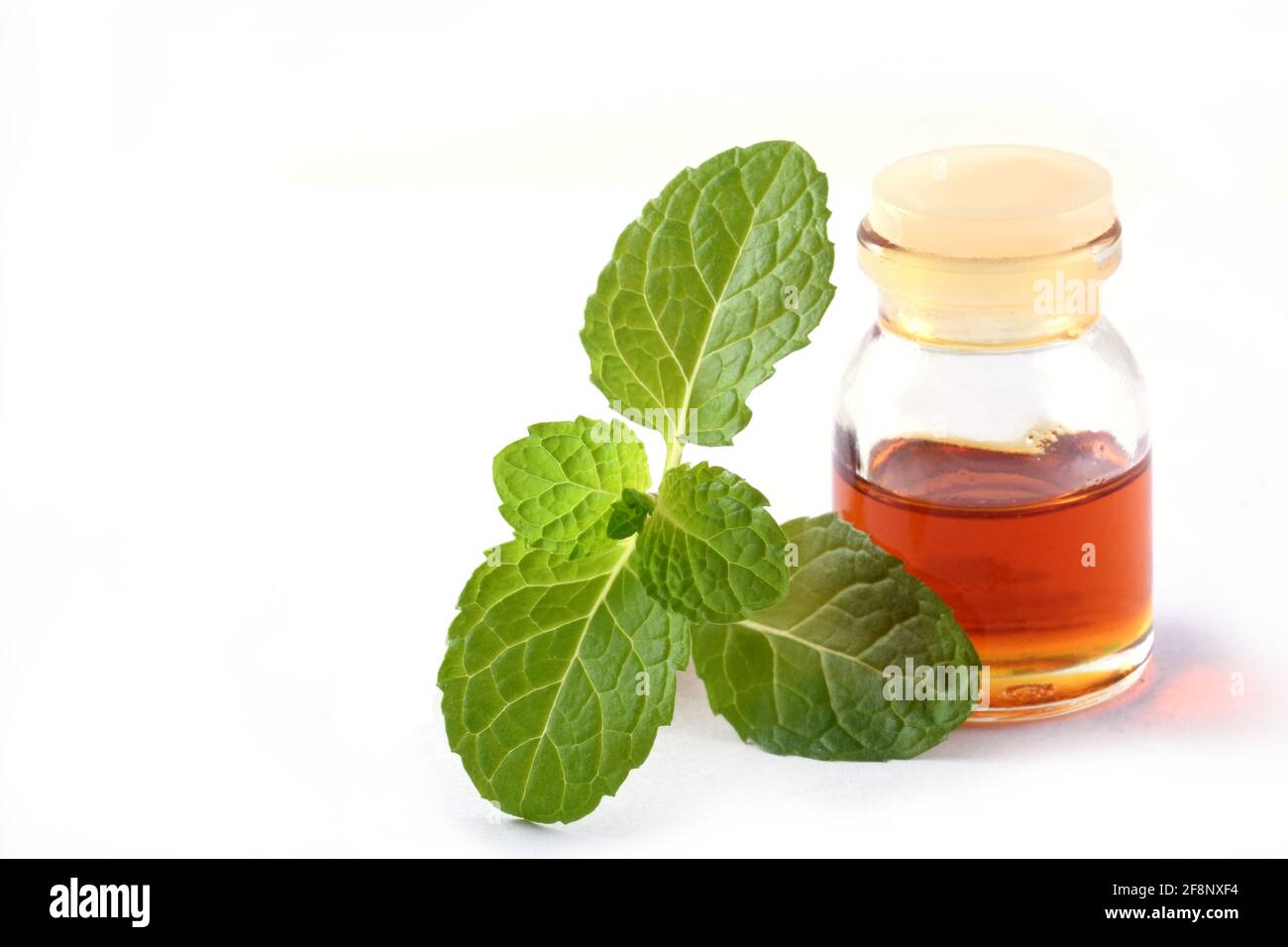 Aceite de menta esencial orgánico en un pequeño tarro de vidrio con hojas de menta verde, Salud y belleza, todavía vida spa concepto espacio de copia fondo Foto de stock