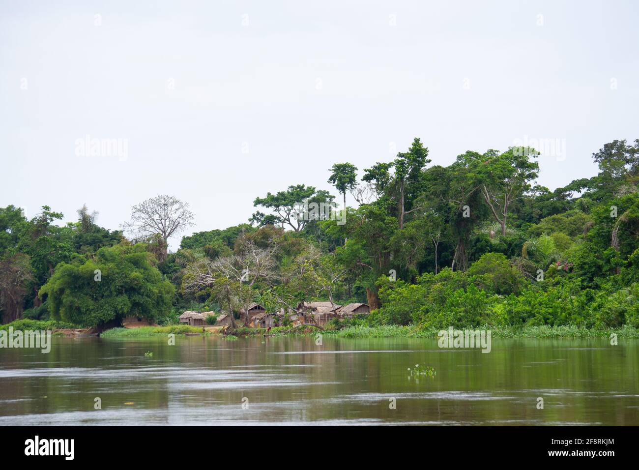 Pueblo del río Congo, República Democrática del Congo, África central. Foto de stock