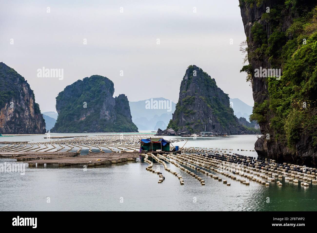 Hermoso paisaje de Bai Tu Long Bay, tomado durante el crucero a la isla  Quan Lan, Vietnam. Paisaje costero de cultivo de perlas foto tomada en el  sudeste asiático Fotografía de stock -