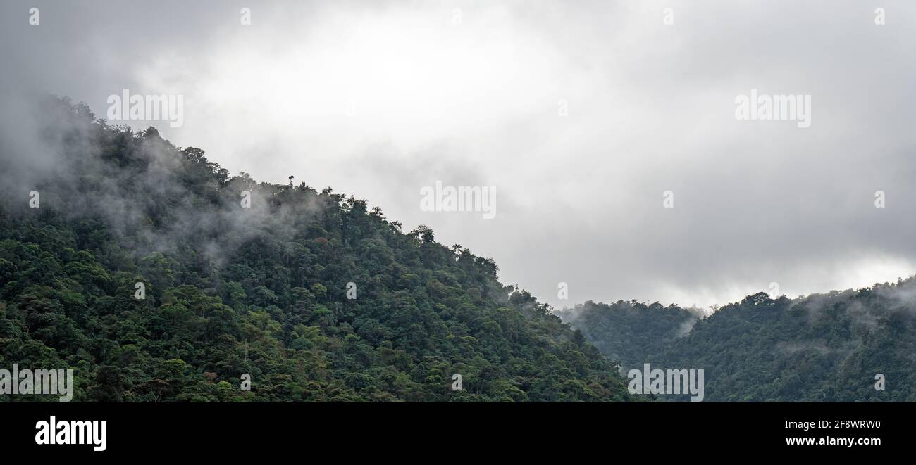 Panorama del bosque nuboso, Mindo, Ecuador. Foto de stock