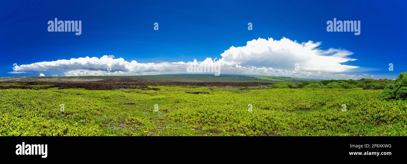 Colinas y horizonte, Kamilo Beach, Naalehu, Distrito de Kau, Isla Hawaii Foto de stock