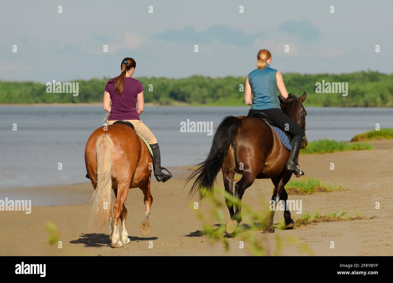 Dos mujeres están montando a caballo en la playa, vista trasera. Foto de stock
