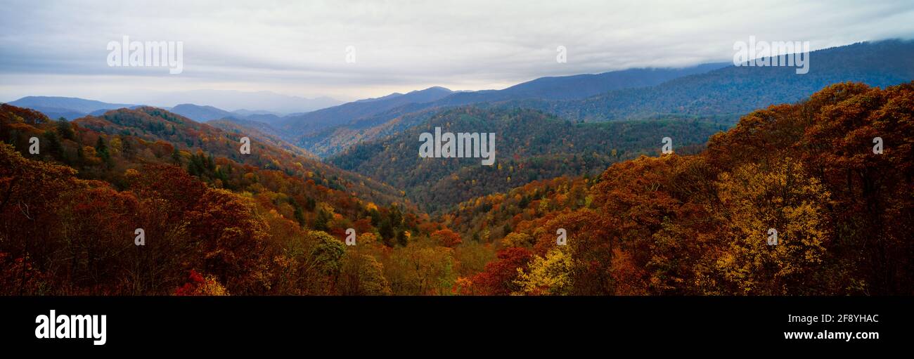 Paisaje con montañas en otoño, Great Smoky Mountains, Tennessee, Estados Unidos Foto de stock