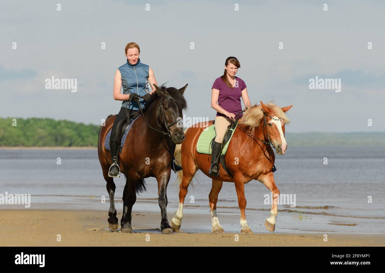 Dos mujeres caucásicas están montando a caballo en la playa cerca de un agua. Foto de stock