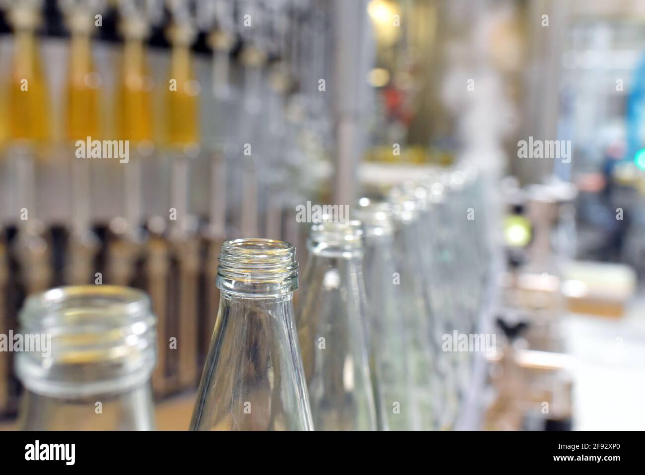 jugo de manzana en botellas de vidrio en una fábrica para la industria alimentaria - embotellado y transporte Foto de stock