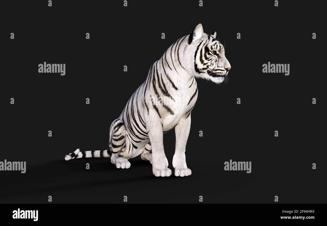 Blanco Tigre Albino aislado sobre fondo oscuro con camino de recorte. 3D Ilustración. Foto de stock