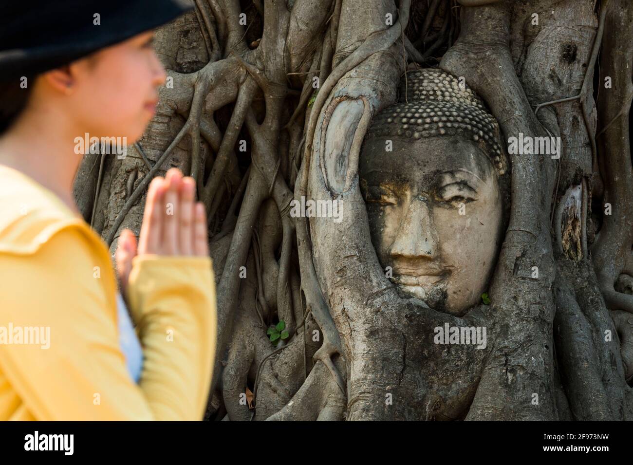 Ayutthaya, templo de Wat Mahathat, según el Buda, la confianza y la confianza son la base de la contemplación correcta Foto de stock