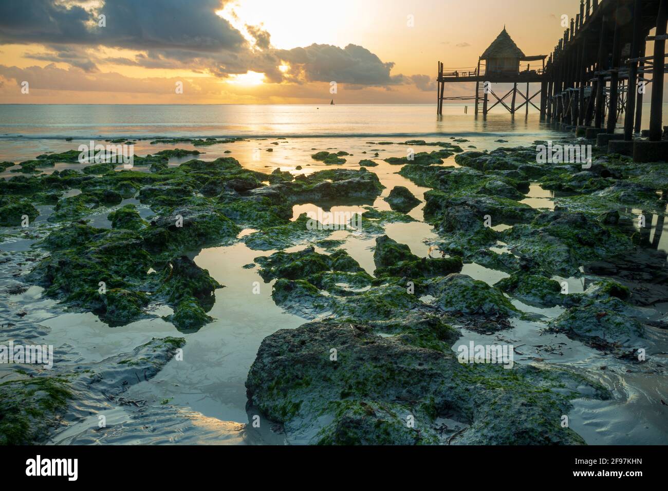 Hermoso amanecer y un puente de madera o embarcadero que conduce a un restaurante / Bar llamado Sansibar en la playa Jambiani, Zanzíbar, Tanzania, África en la marea baja con rocas verdes visibles en el agua Foto de stock