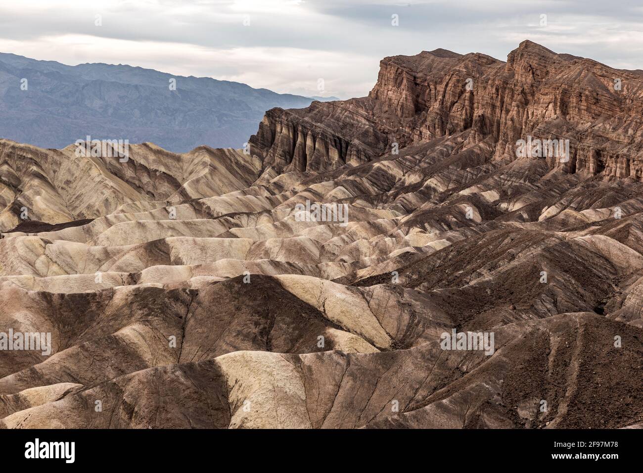 Una pintoresca escena del desierto con crestas erosionadas adoptadas en el conocido Zabriskie Point, el Parque Nacional Valle de la Muerte, California, EE.UU. Foto de stock