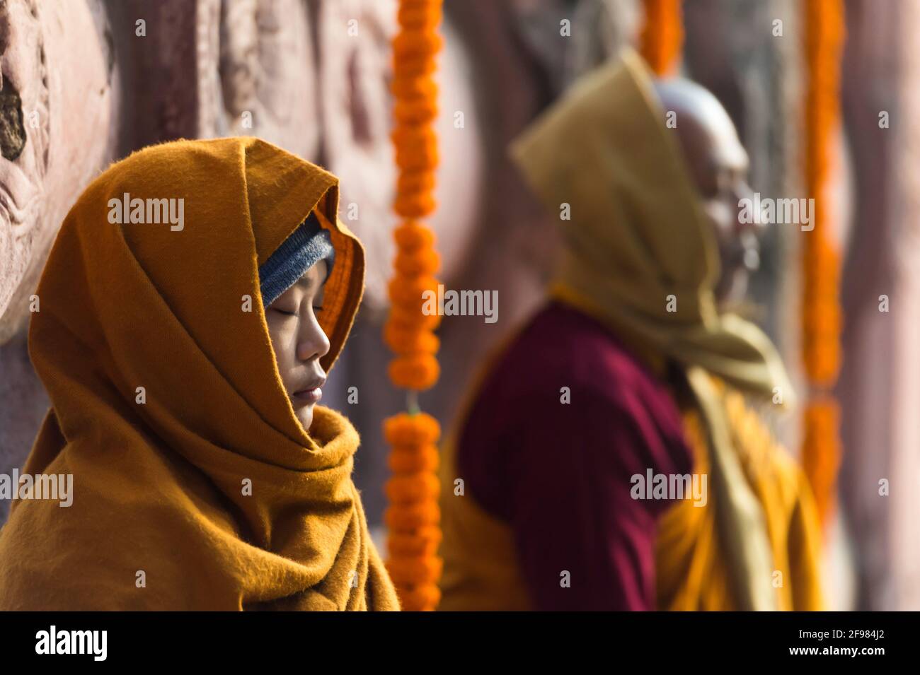 India, Bodhgaya, escenas en el Templo de Mahabodhi, los creyentes meditan Foto de stock