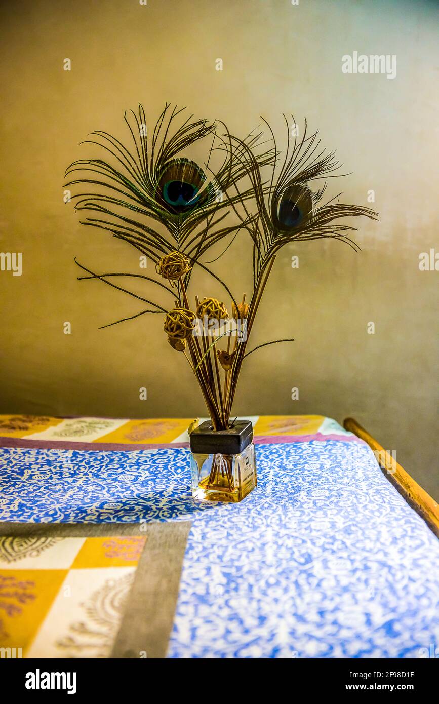 Primer plano de decoraciones con plumas de pavo real en el jarrón  Fotografía de stock - Alamy