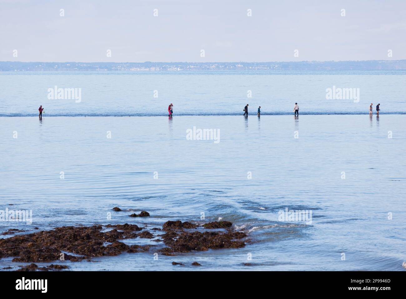 Los pescadores hacen una peregrinación a la isla de marea Verdelet en frente de la ciudad de Val Andre para ir de pesca a pie - Peche a pied. Foto de stock