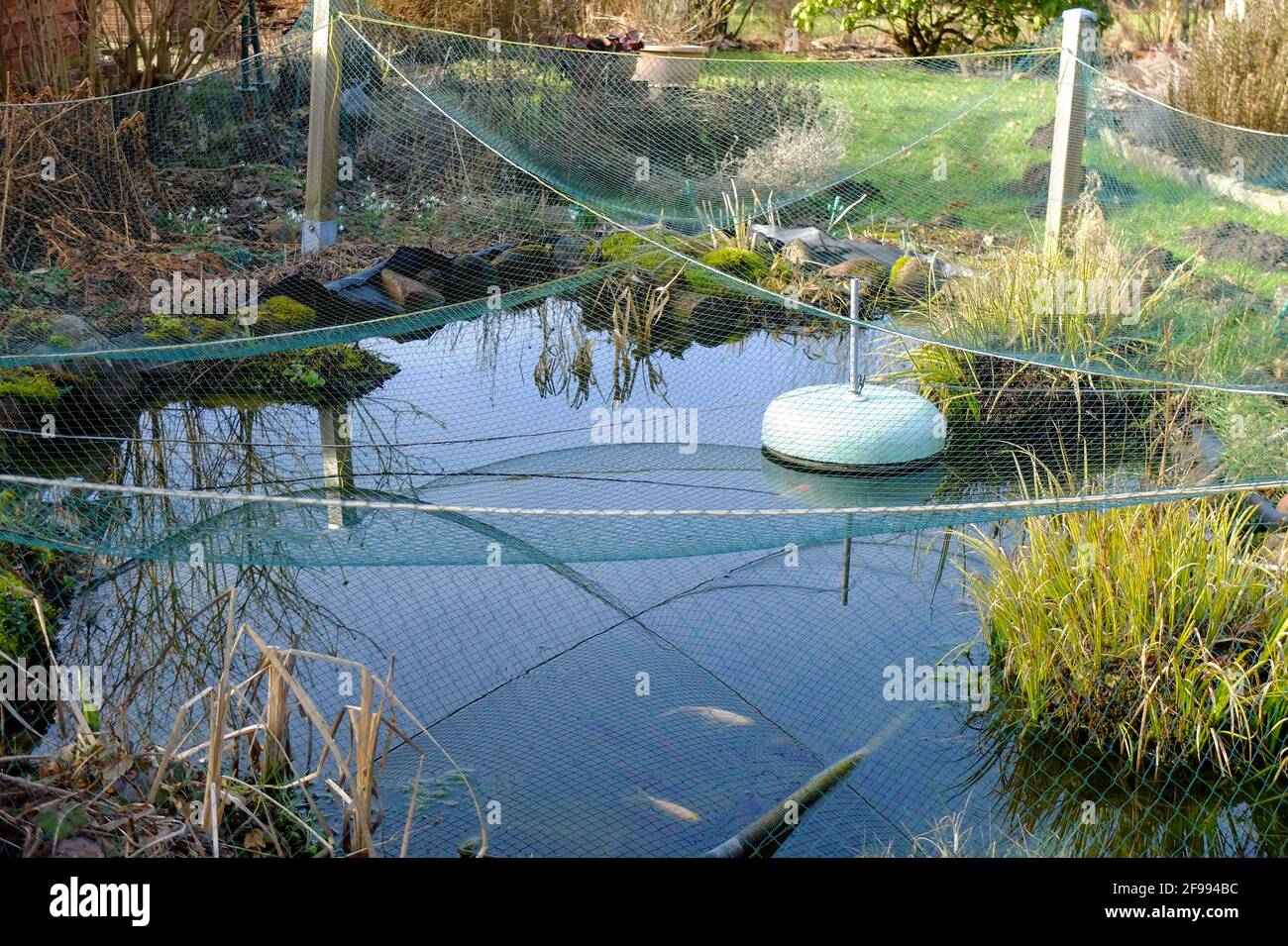 Jardín estanque con una red como protección de las hojas de otoño Foto de stock