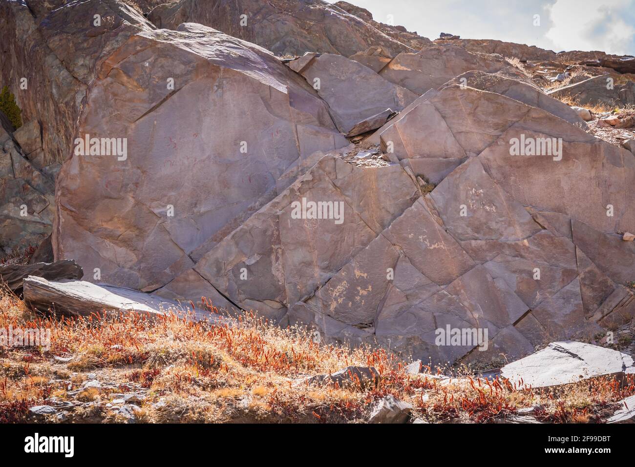 Estrato de pizarra es una roca metamórfica homogénea de grano fino derivada  de roca sedimentaria tipo esquisto compuesta de arcilla o ceniza volcánica.  Es foun Fotografía de stock - Alamy